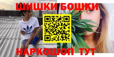 стаф Пенза