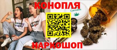 стаф Пенза